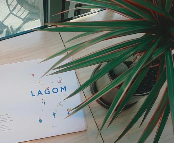 image_4472347051506341895682.jpg?type=w773