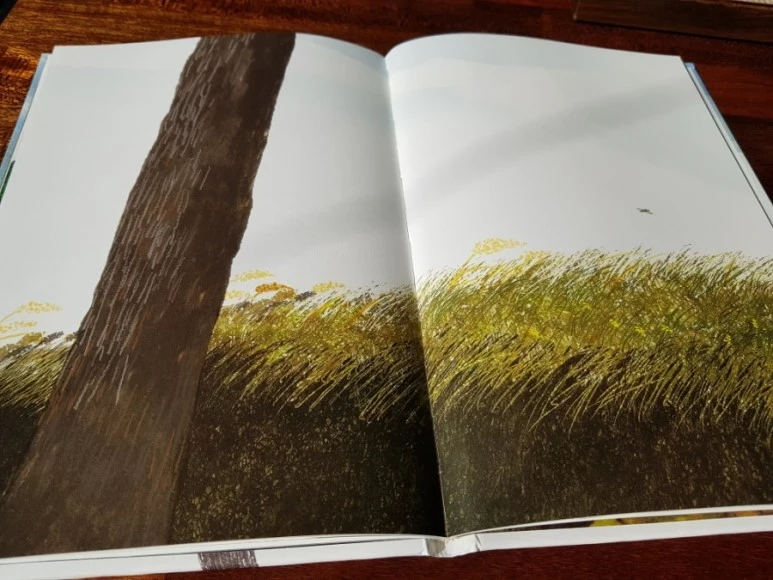 20171104_114257.jpg?type=w773