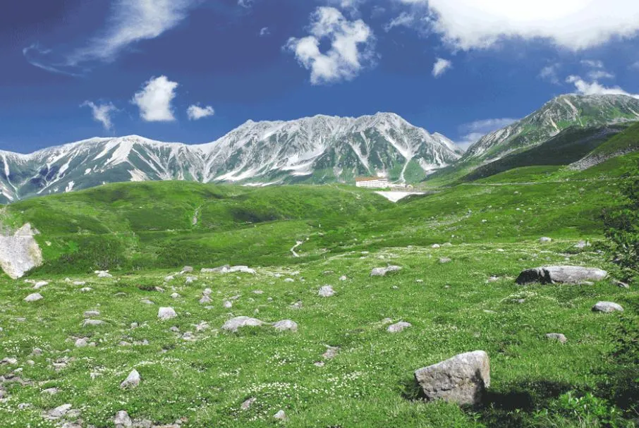 %EC%BA%A1%EC%B2%98.JPG?type=w966