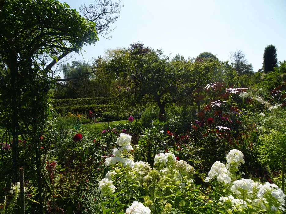 DSC03361.JPG?type=w1