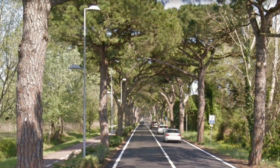 Screenshot_2019-10-29_at_12.00.16.jpg?type=w1