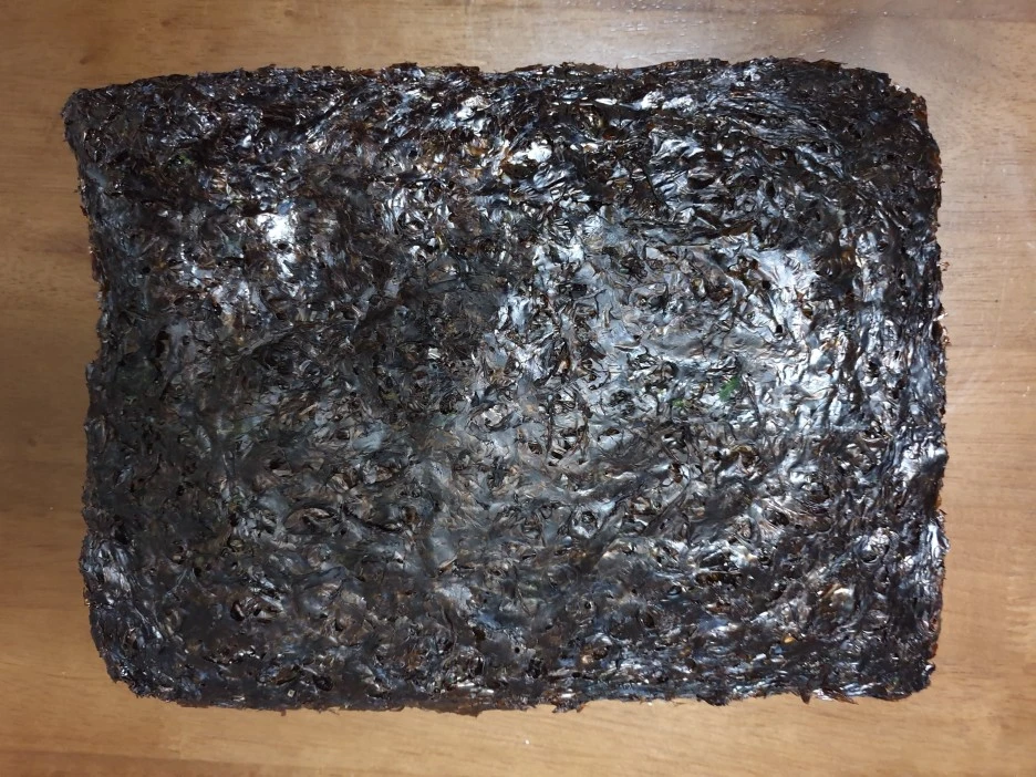 20210225_173640.jpg?type=w1