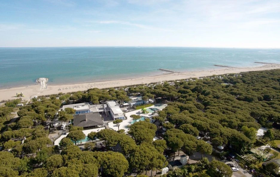 98960468.jpg?type=w1