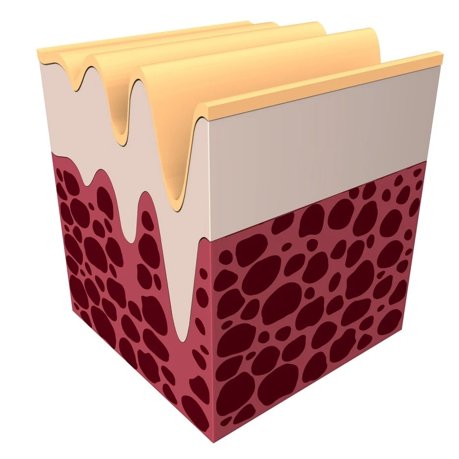 gd69b843d8bf08b47ff8aee213e3f42b0c59fa29e3afa04a38de2adb8476bf1845aa29290b8a.jpg?type=w1