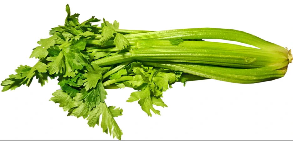 %EC%85%80%EB%9F%AC%EB%A6%AC2.png?type=w1