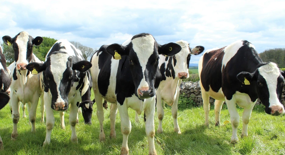 %EC%86%8C.png?type=w1