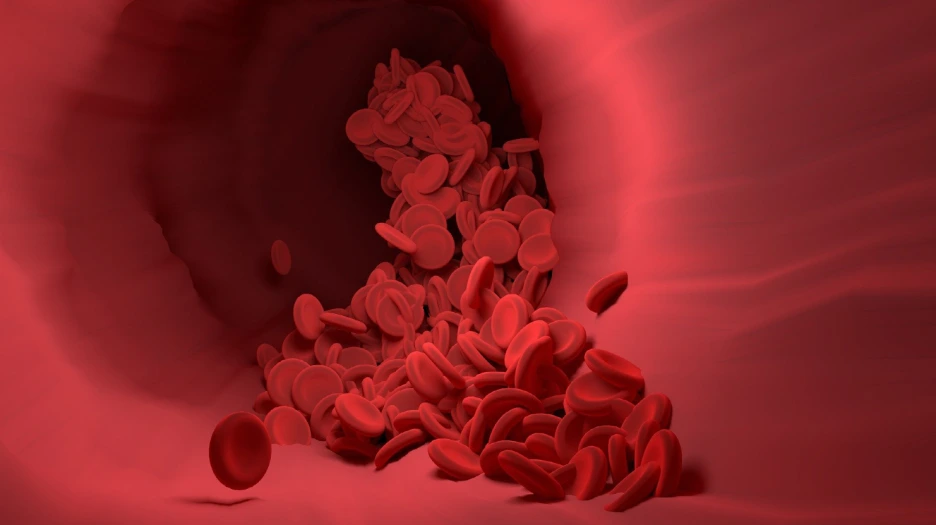 %ED%98%88%EA%B4%80.png?type=w1