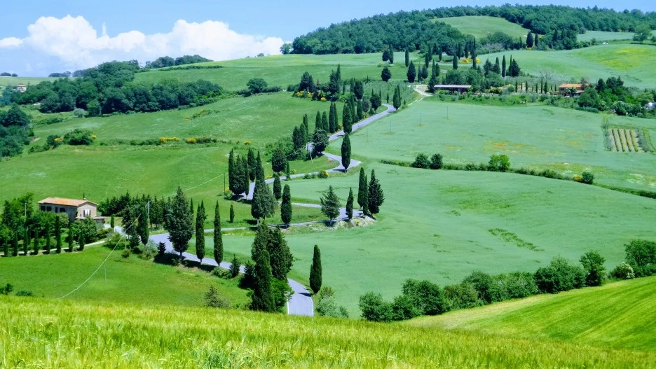 20180525_210525-EFFECTS.jpg?type=w1