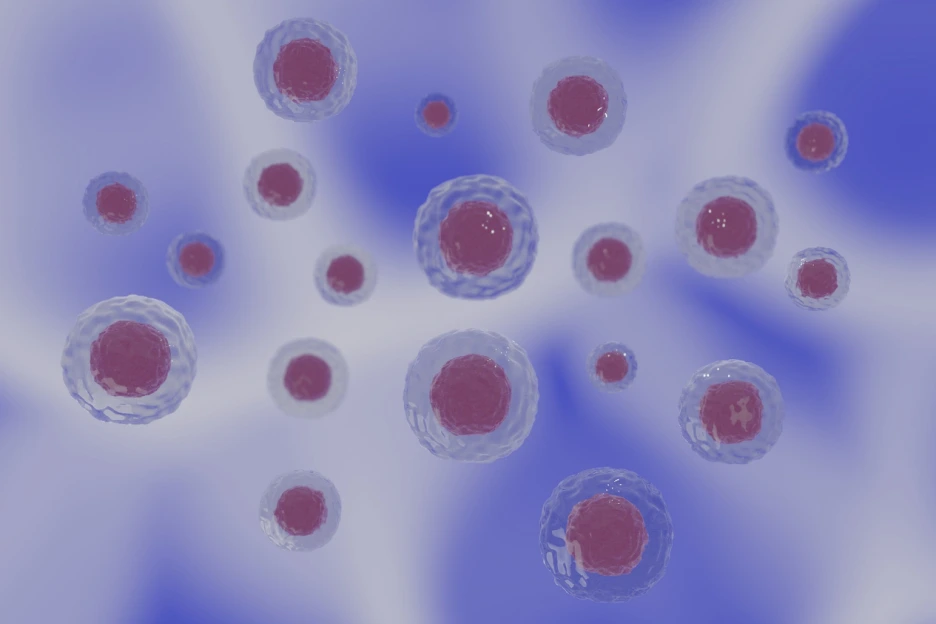 %EC%84%B8%ED%8F%AC.png?type=w1