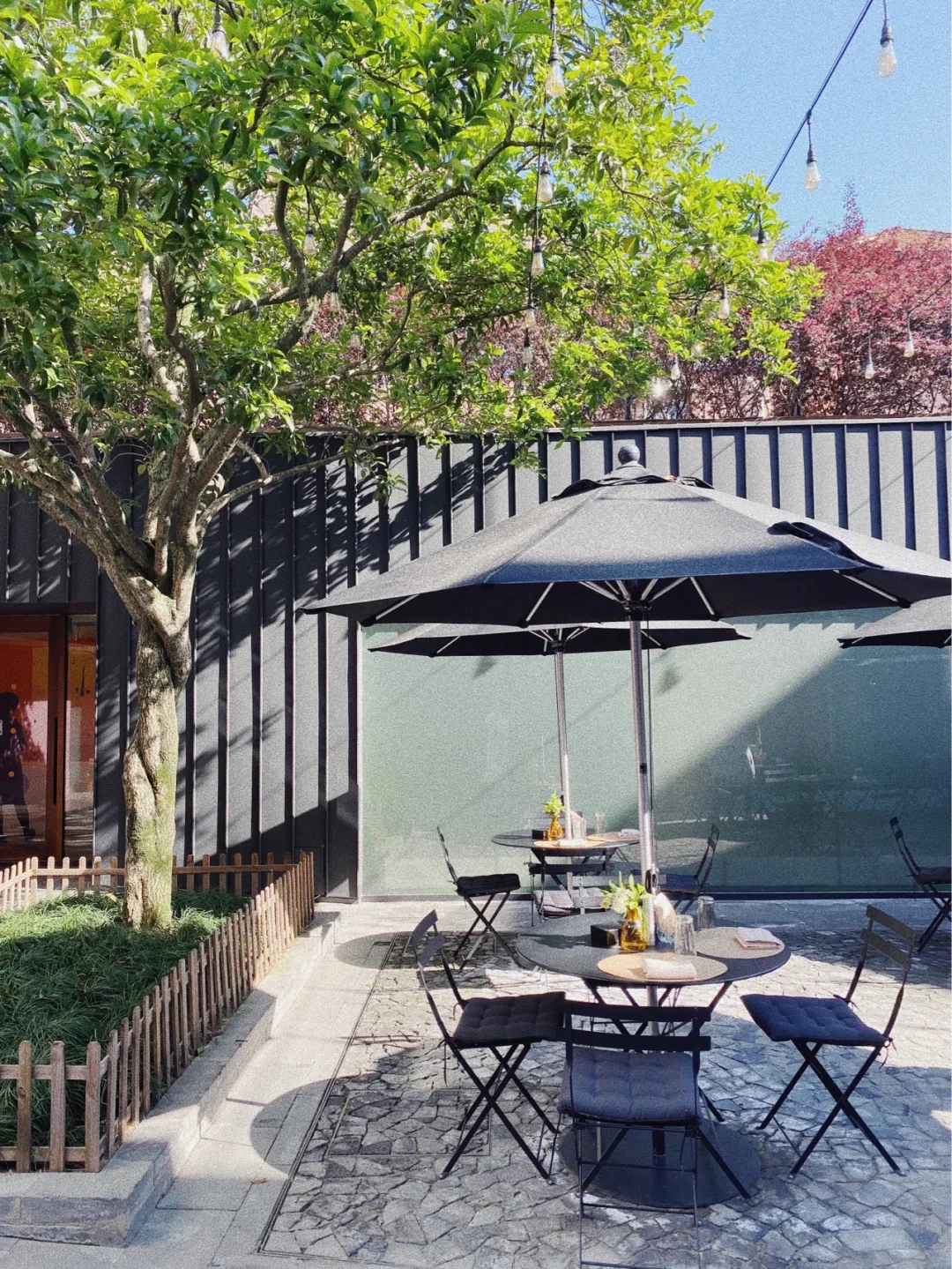 옥타브 웰니스.jpeg