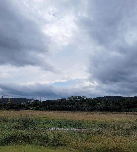 다운로드 (3).jfif