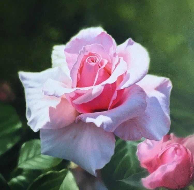 Linda Alexander ROI 10.jfif