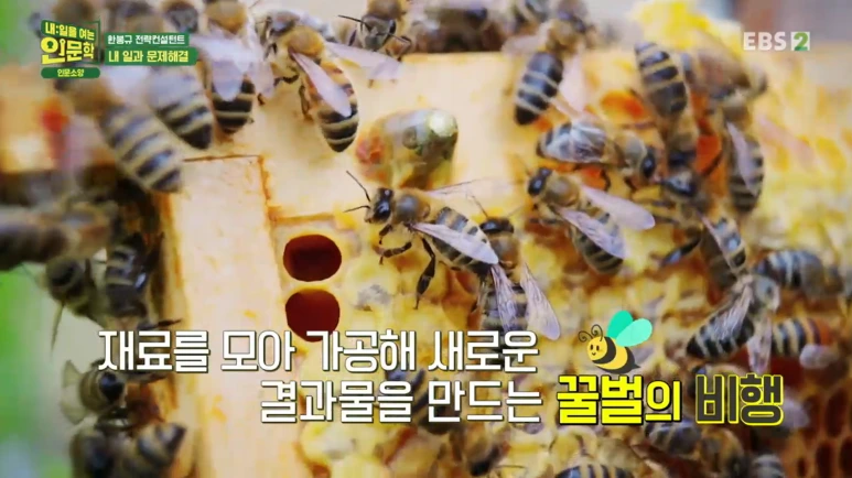 SE-60101e68-e551-493c-a932-1d233fe01f9d.png?type=w773