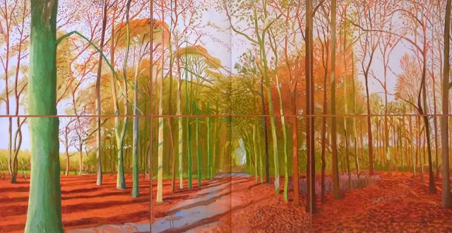 Woldgate Woods, 21, 23 and 25 November 2006.JPG