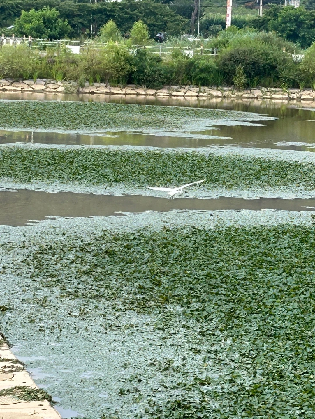 KakaoTalk_Photo_2023-07-07-07-26-31 002.jpeg