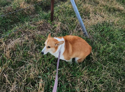 SE-82ea388b-76b8-439b-91b0-f5510d3277c8.jpg?type=w1