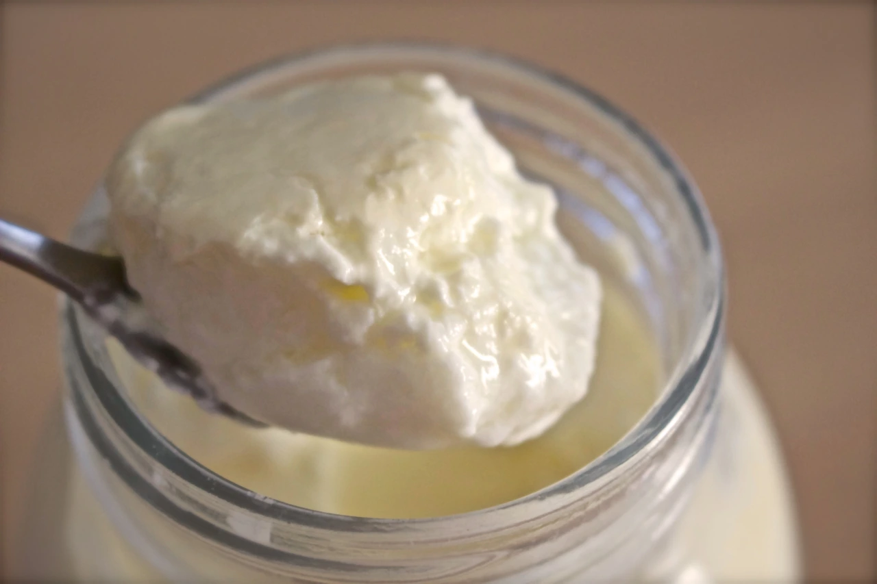 Yogurt-is-a-great-food-for-our-intestin-its-full-of-probiotics-scaled.jpg?fit=2560%2C1707&ssl=1