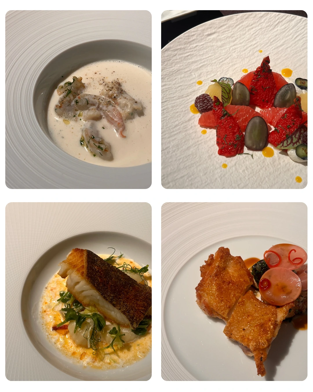 Untitled design - 2.PNG