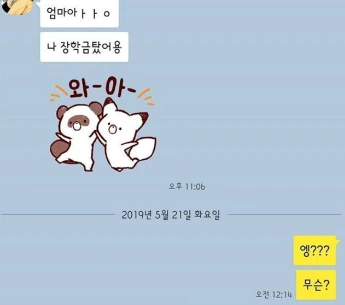 59646012_2208928626084104_4952463878453403277_n.jpg?_nc_ht=scontent-yyz1-1.cdninstagram.com