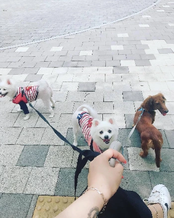 63161933_2356385707951319_4981595651998557982_n.jpg?_nc_ht=scontent-frx5-1.cdninstagram.com&se=7&ig_cache_key=MjA3MDg3MTc5OTExMzAwNjkyNg%3D%3D.2