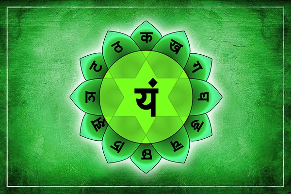 put5ie7ozll3l7q4zc8nimyoc8u6