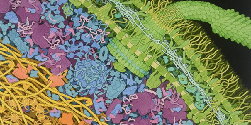 bekr4zim6r38ka8ot4exqgsxv7tc