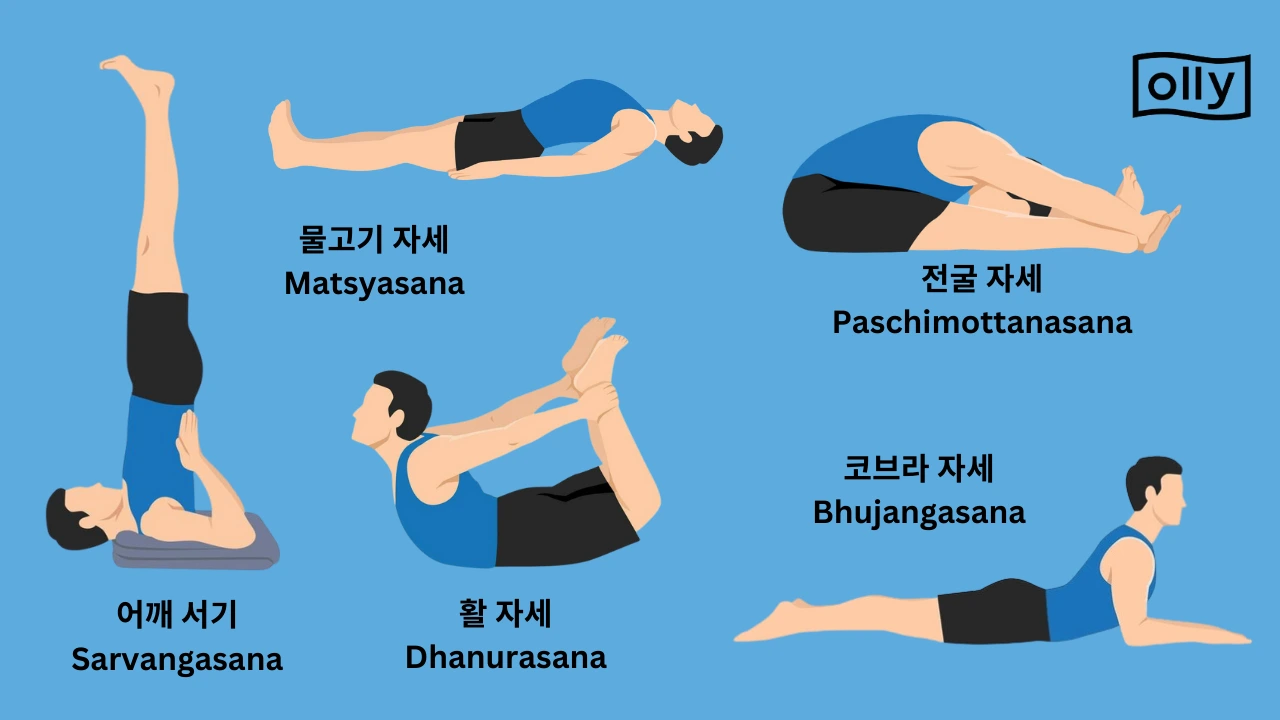 bln79vi9dqkof1mlj9osnqsp59l8