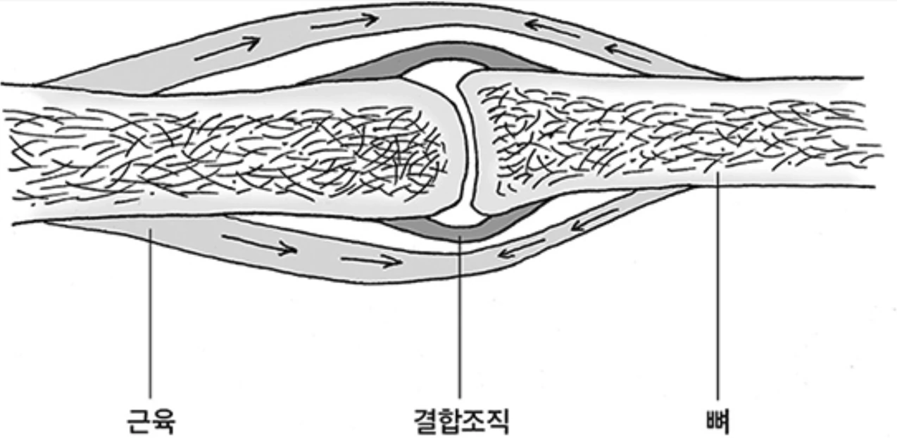 hvdfu7744rw4v9vjfh0um6s8qmon