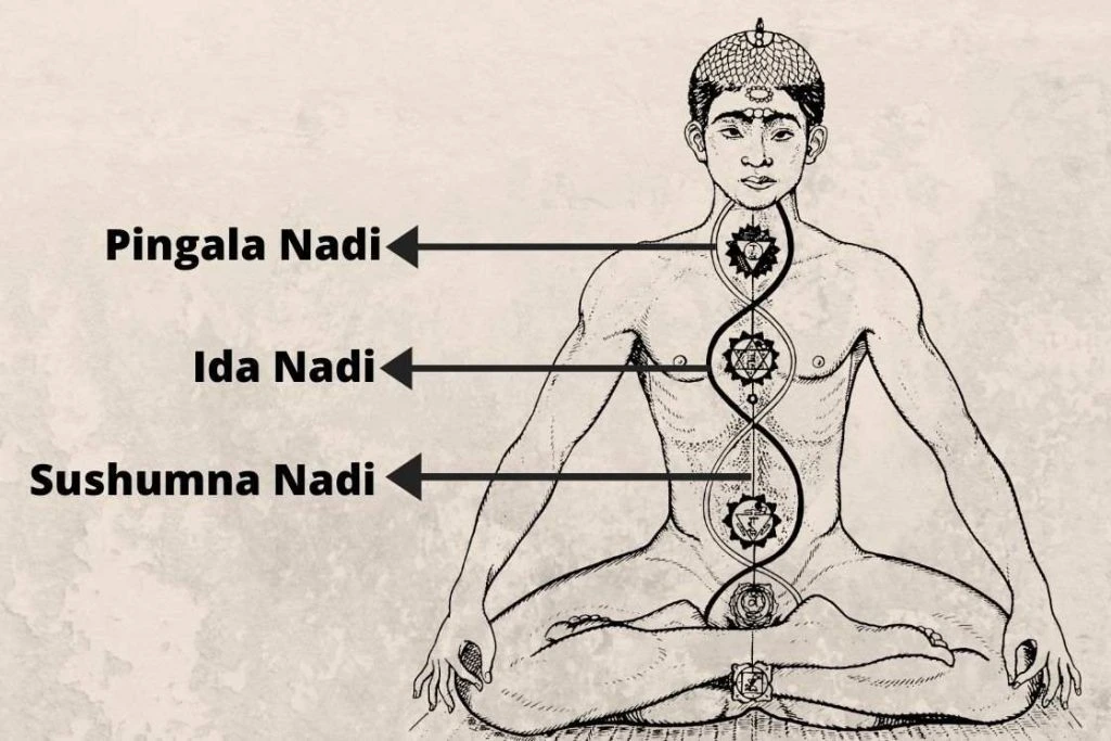 rbphclmes6pghimbmcvn2c1flhs2