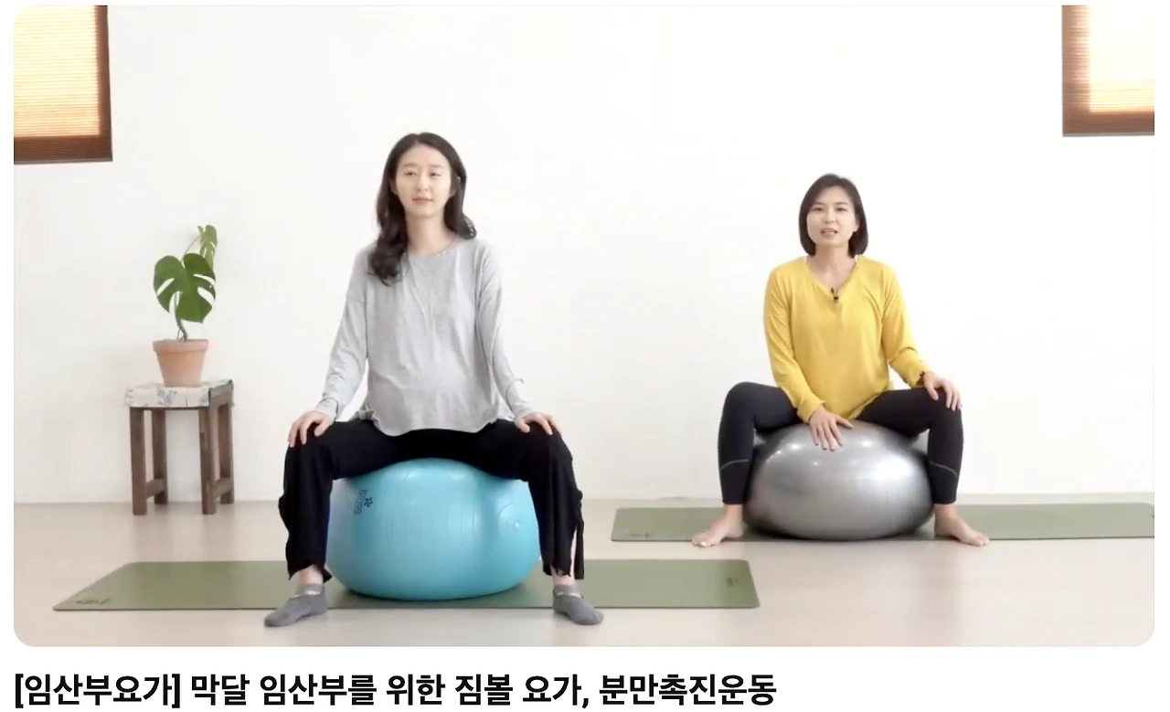 guo3k5nox55drp8ej02rerd9fbrd