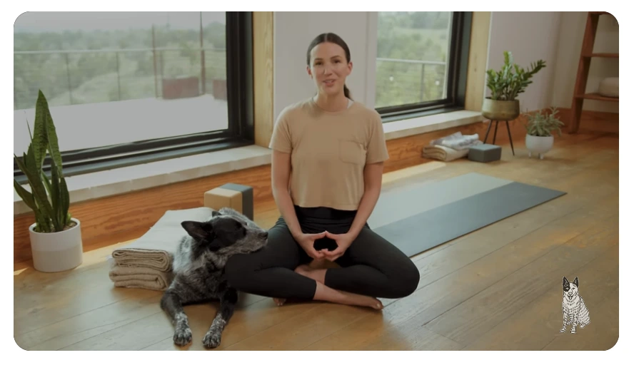 o71c3fwtquact1pfdo7pbb5hwgzr