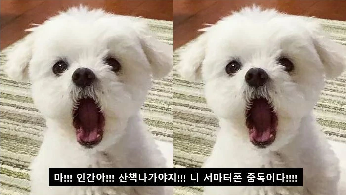 uffl3pmj7h9ilzjiloaqptg3ahi9