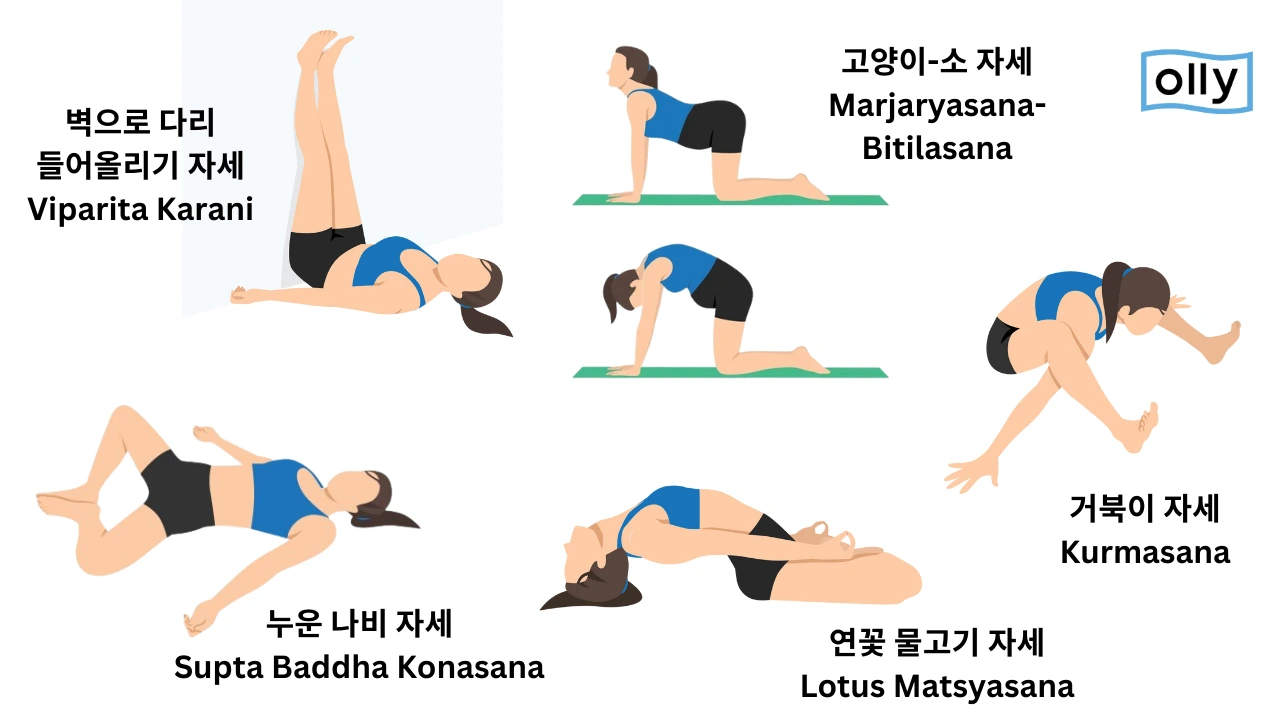 pgwv3334z30etmi89afnt99vy56s