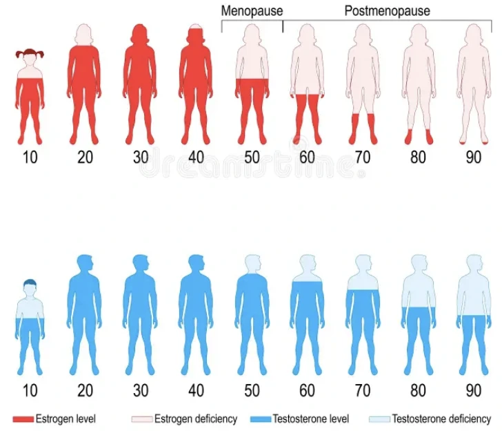 0ttonny4ynobhsulj9jd0uv90o7n