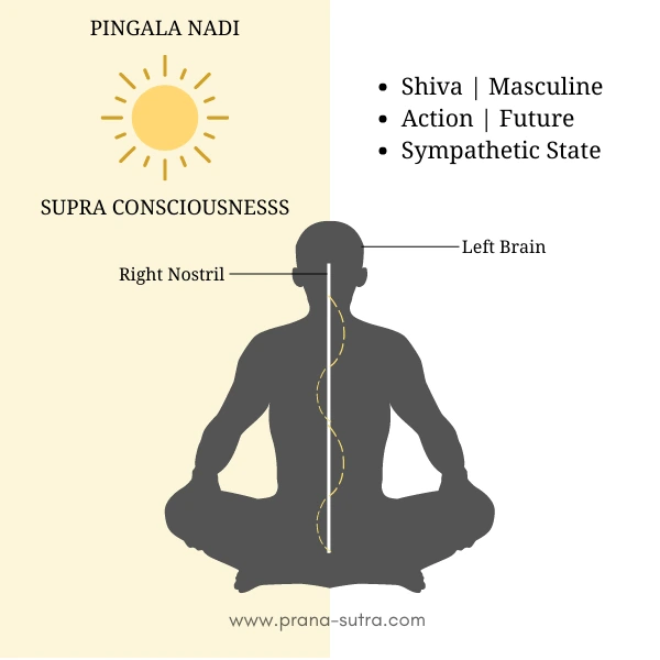 irtzcj6g2mg2zg6hlo6qxvmmq5on