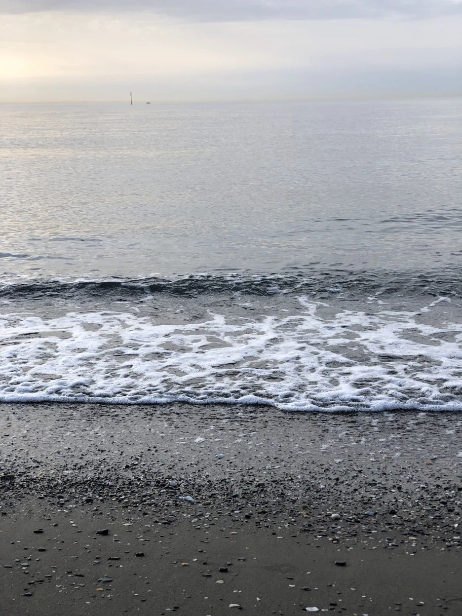 IMG_1826.jpg?type=w1