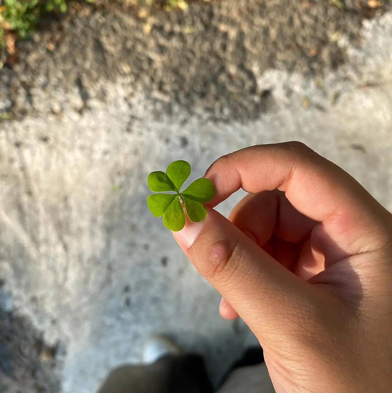 img.jpg?credential=yqXZFxpELC7KVnFOS48ylbz2pIh7yKj8&expires=1761922799&allow_ip=&allow_referer=&signature=NQL7oqFO7gJe%2Bhxg%2F3f8xeEH978%3D