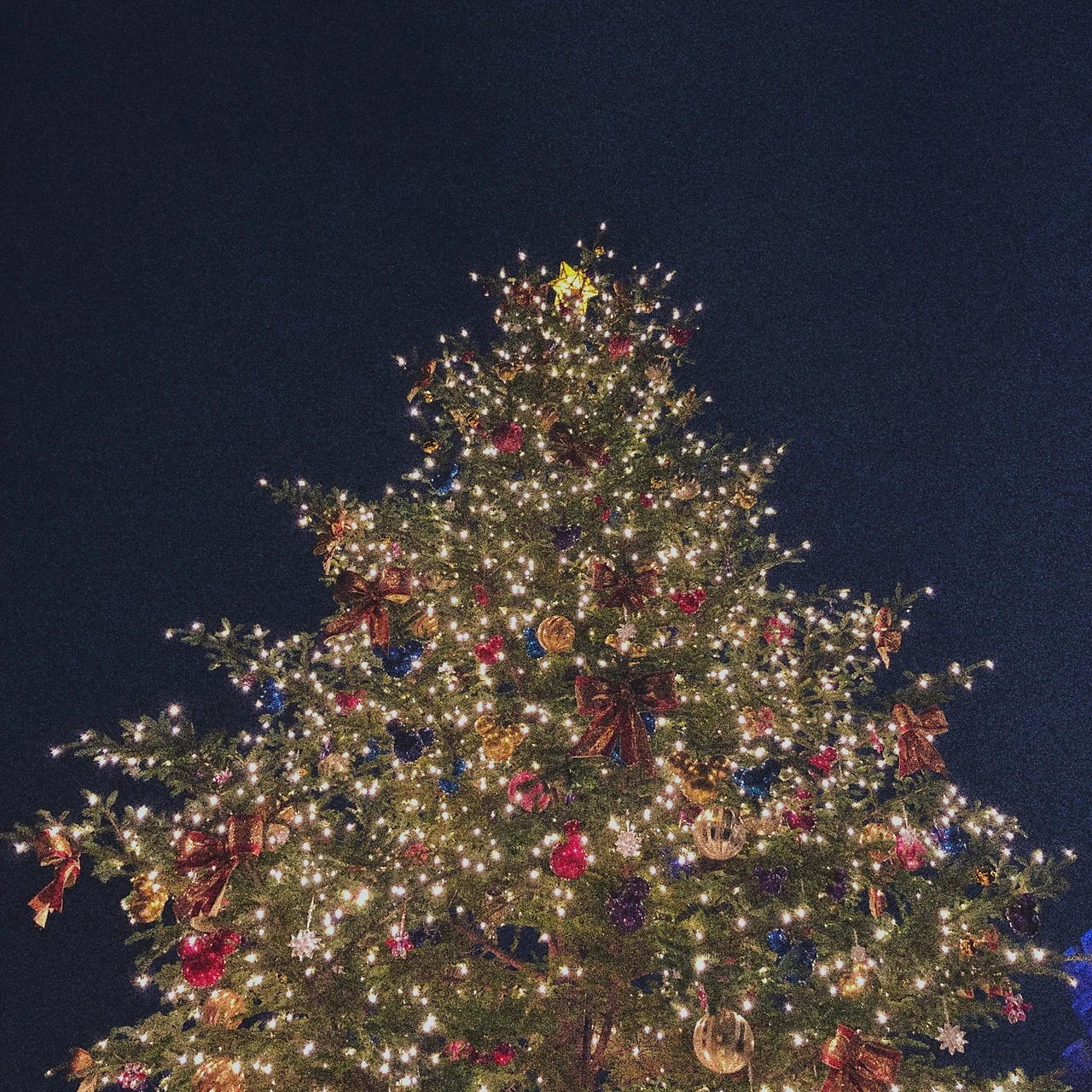 JPEG 이미지-5D67BE27BE62-1.jpeg