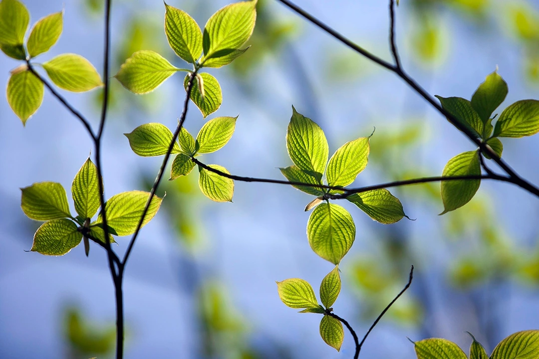 기쁜 아름다움 (10).JPG