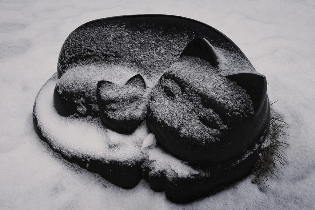 춥지 엄마가 안아줄게.JPG