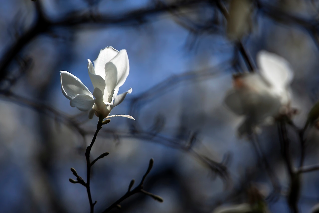 천리포수목원 (14).JPG