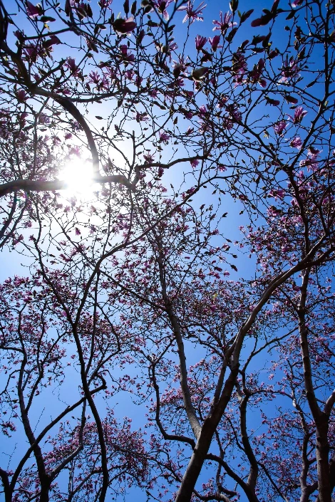 천리포수목원 (11).JPG