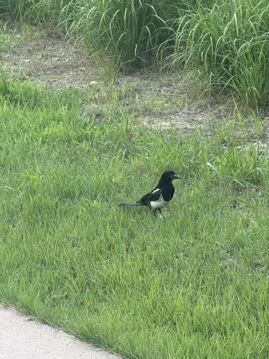 IMG%EF%BC%BF9006.jpg?type=w1