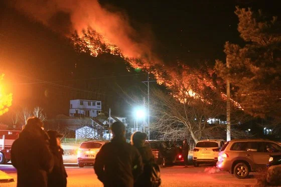 다운로드 (7).jfif