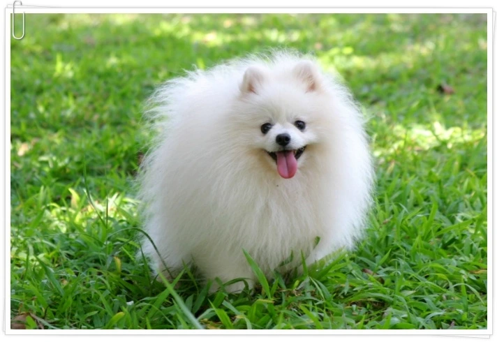 2230393F5168AD7D2D.jfif