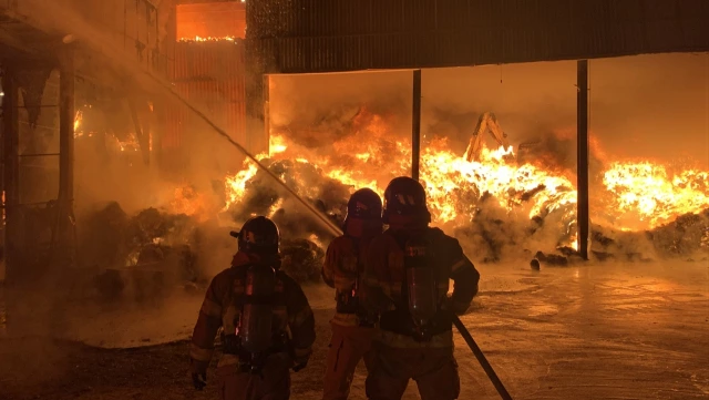 다운로드 (2).jfif