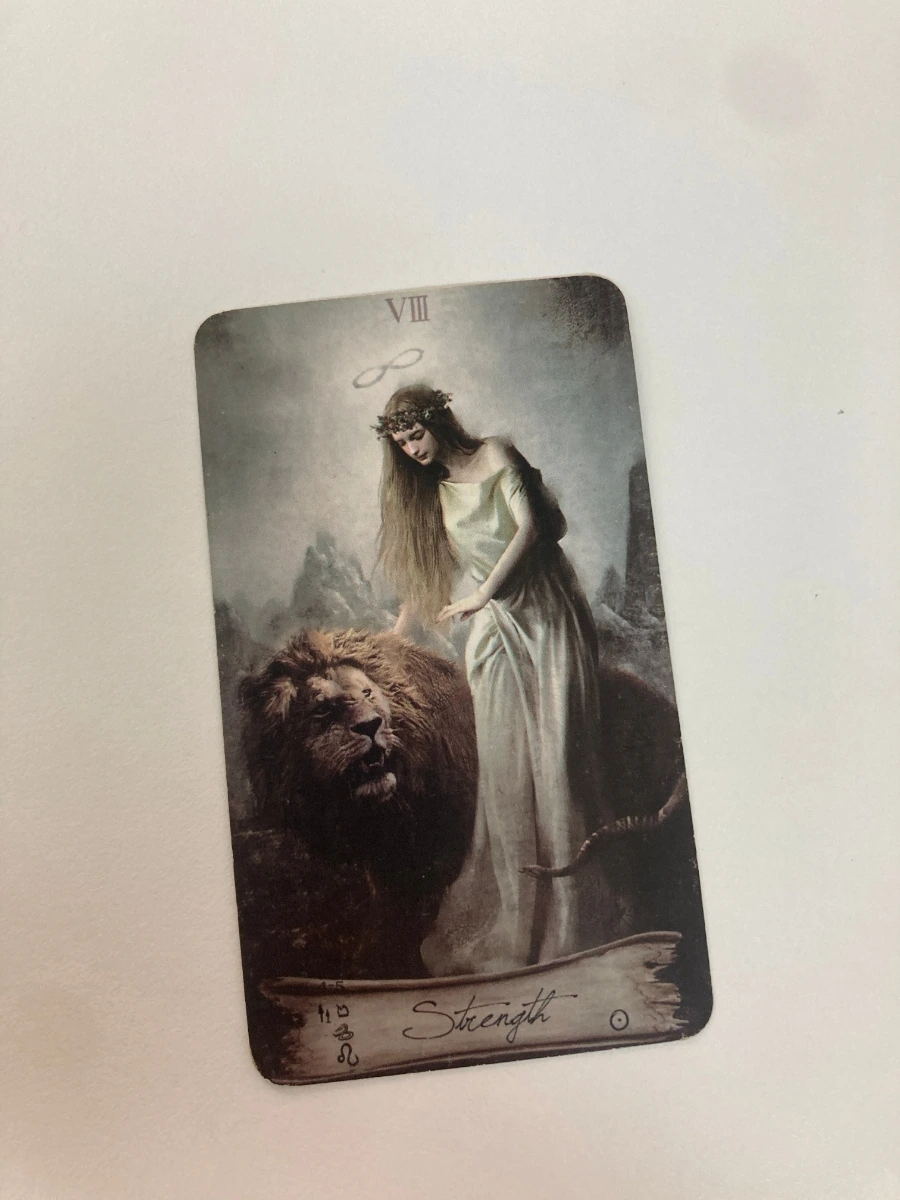 IMG%EF%BC%BF5829.JPG?type=w1