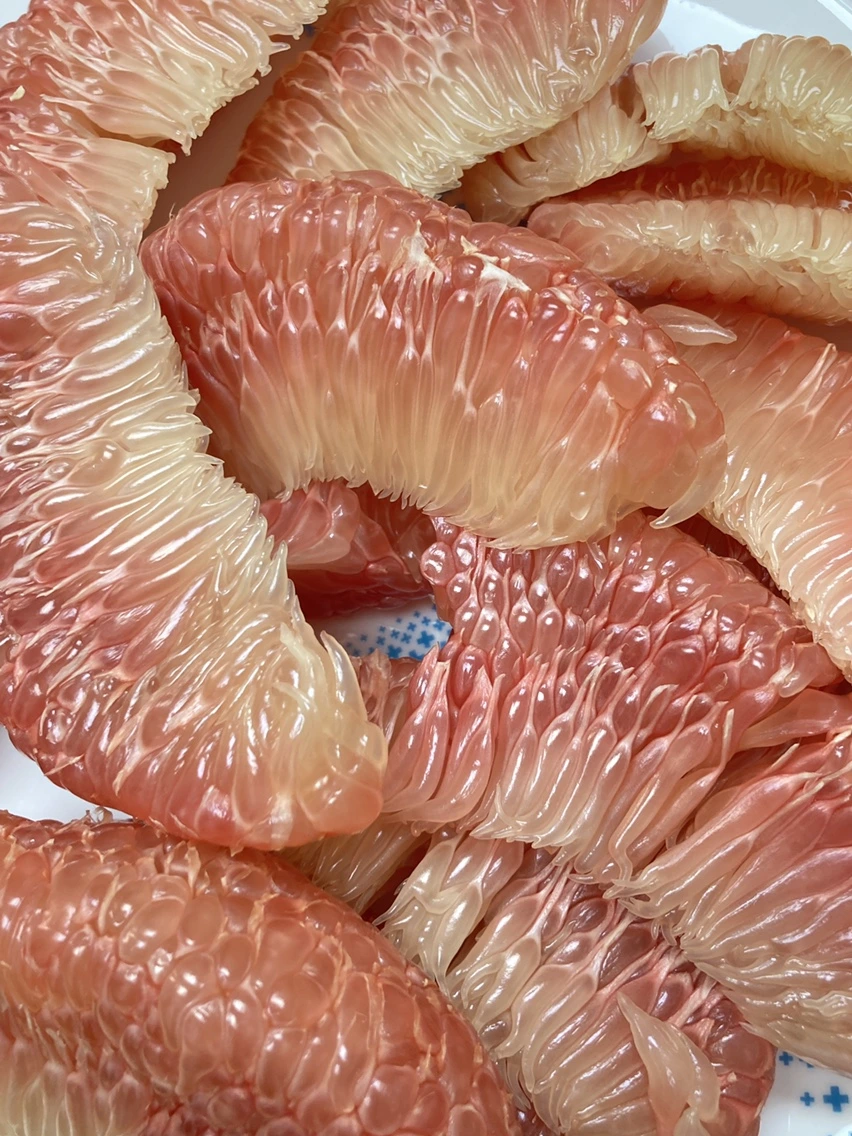 KakaoTalk_20230731_230529981_22.jpg?type=w1