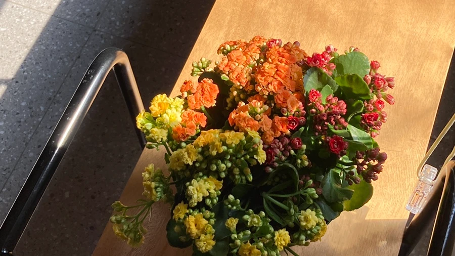 IMG_3589.JPG?type=w1