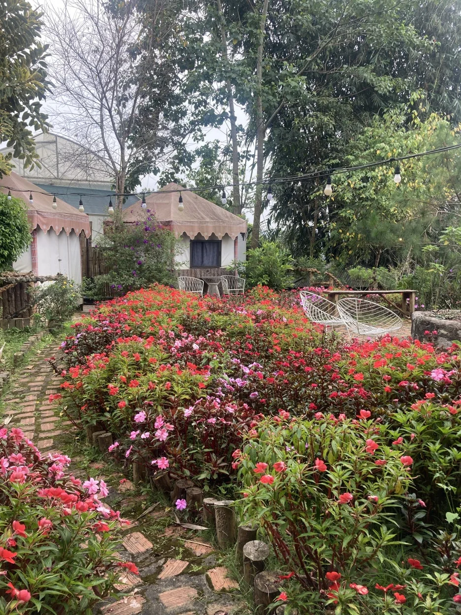 IMG_5253.JPG?type=w1